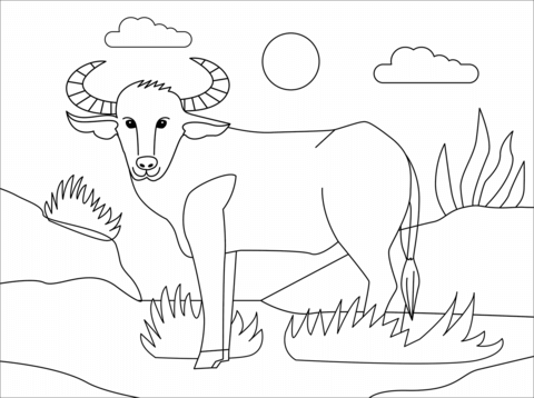 Water Buffalo Coloring Page